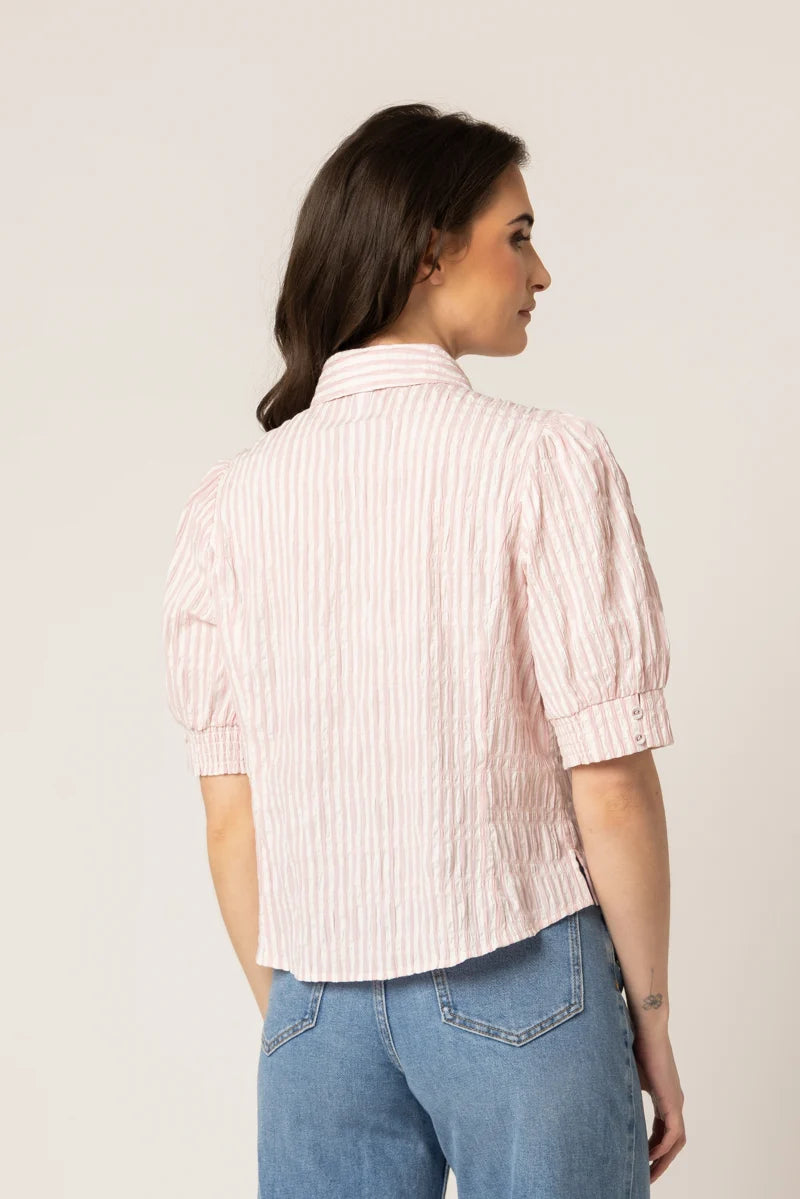 Aligned Shirt Pink Stripe