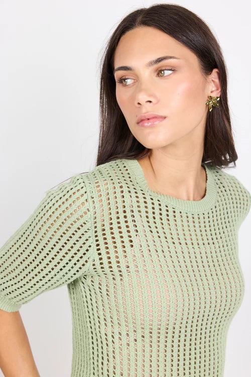 Freckle Sage Pointelle Short Sleeve Knit Top