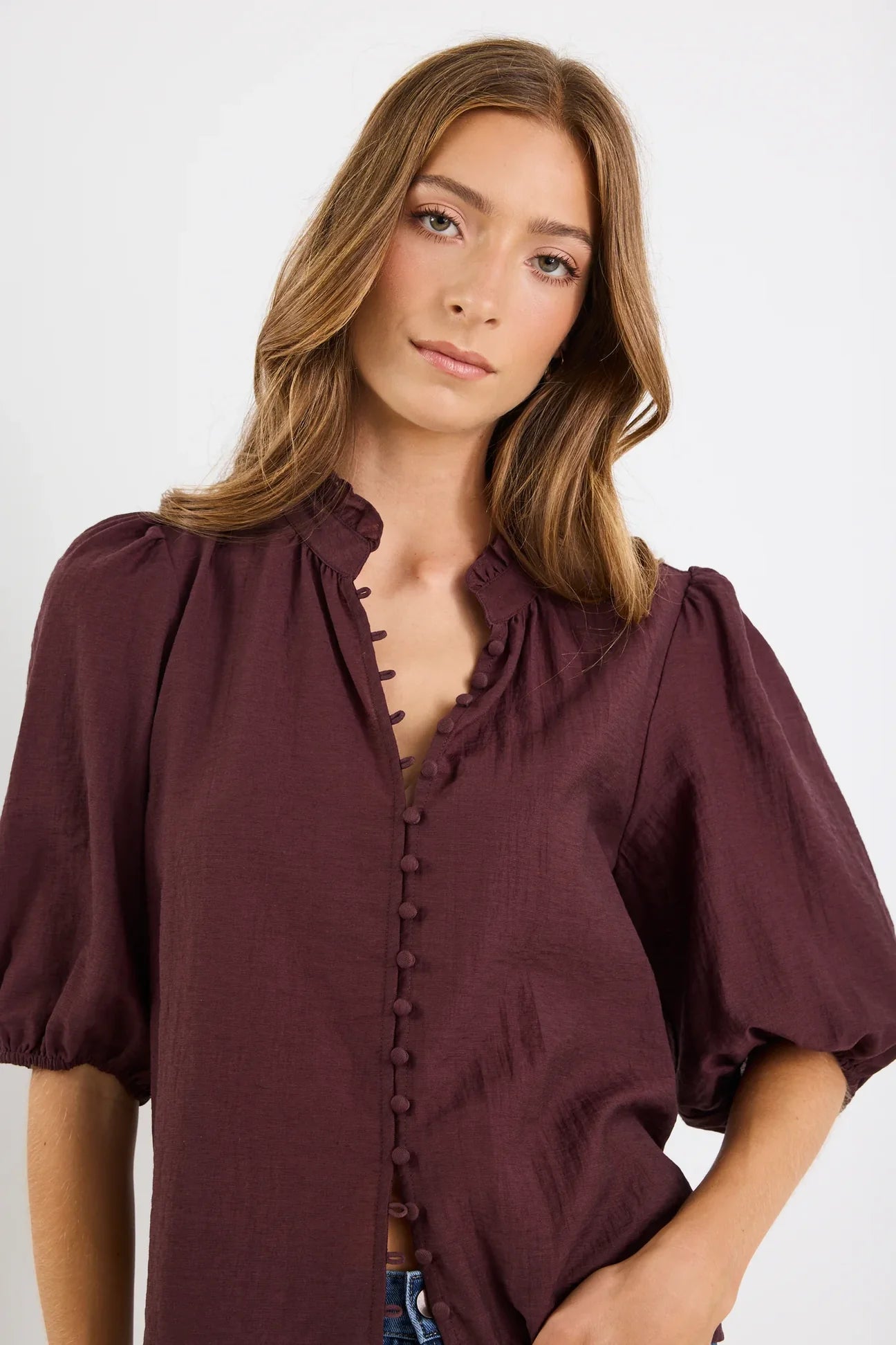 Ivy + Jack Continuance Chocolate Semi Sheer High Neck Buttoned Short Sleeve Top