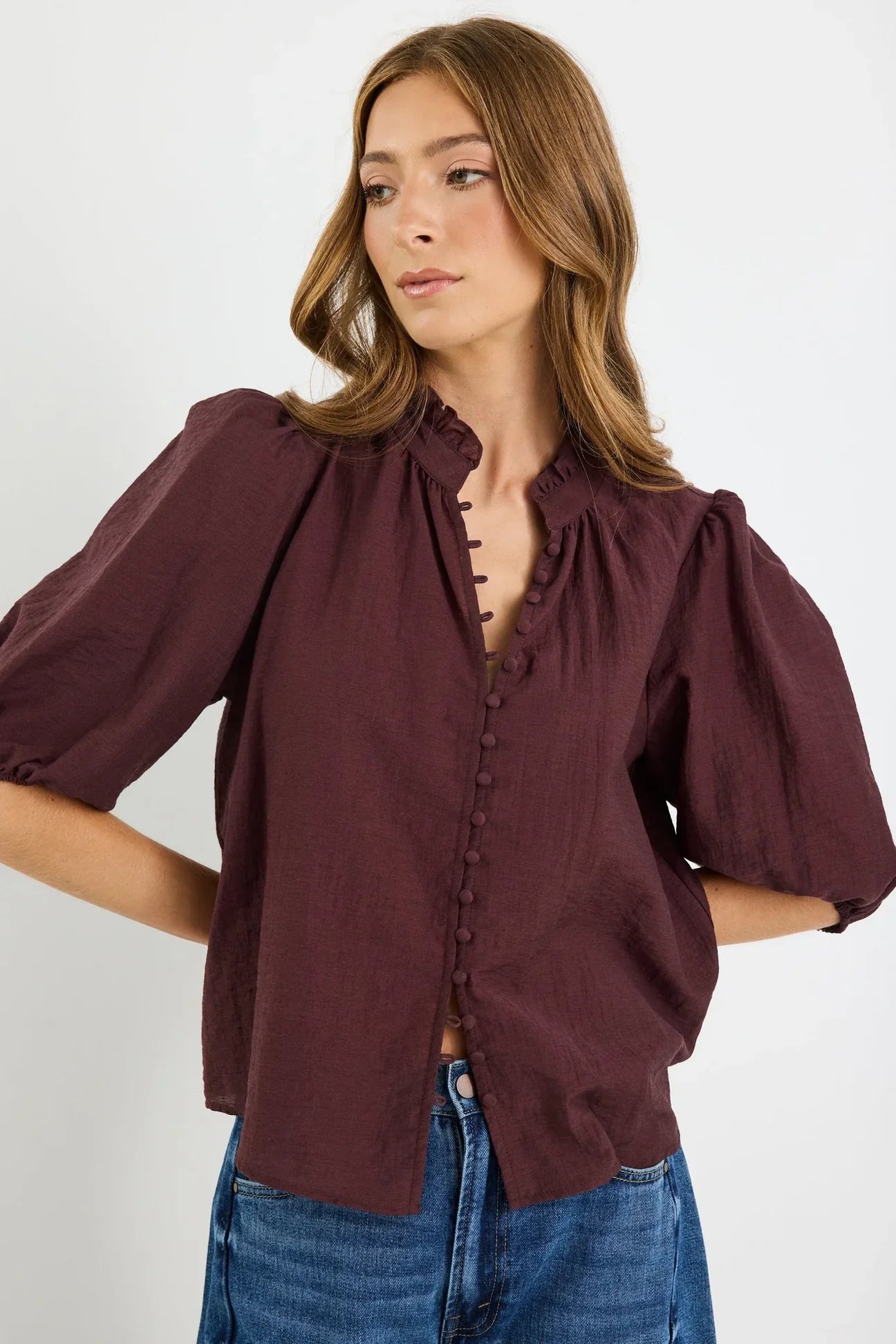 Ivy + Jack Continuance Chocolate Semi Sheer High Neck Buttoned Short Sleeve Top