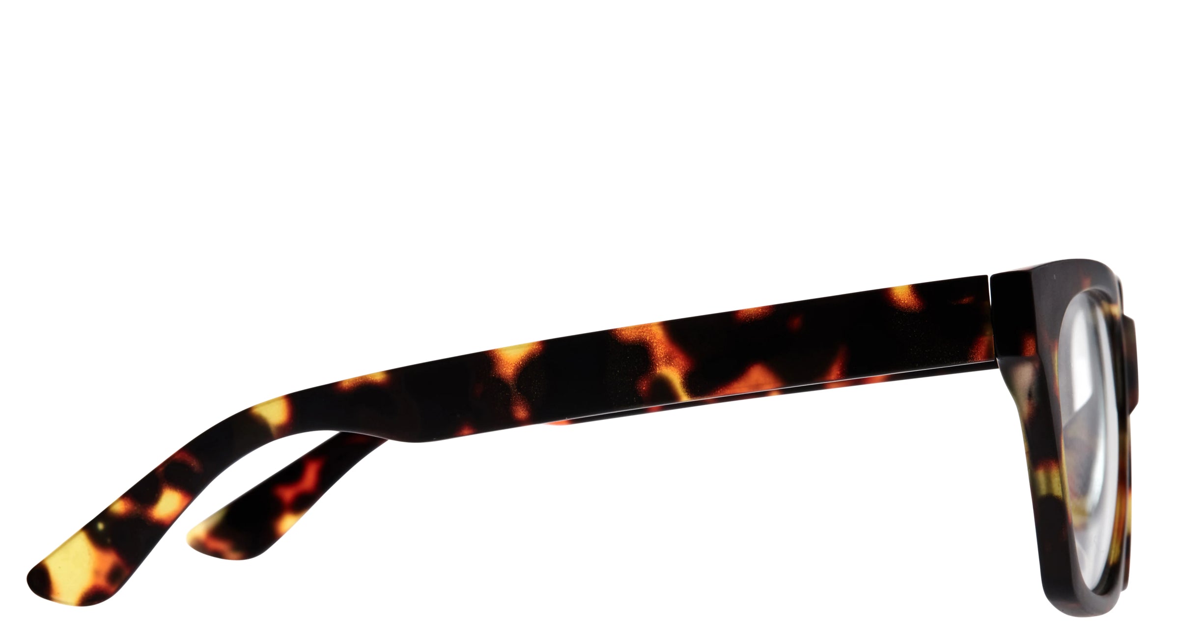 10am Brown Tort Reading Glasses