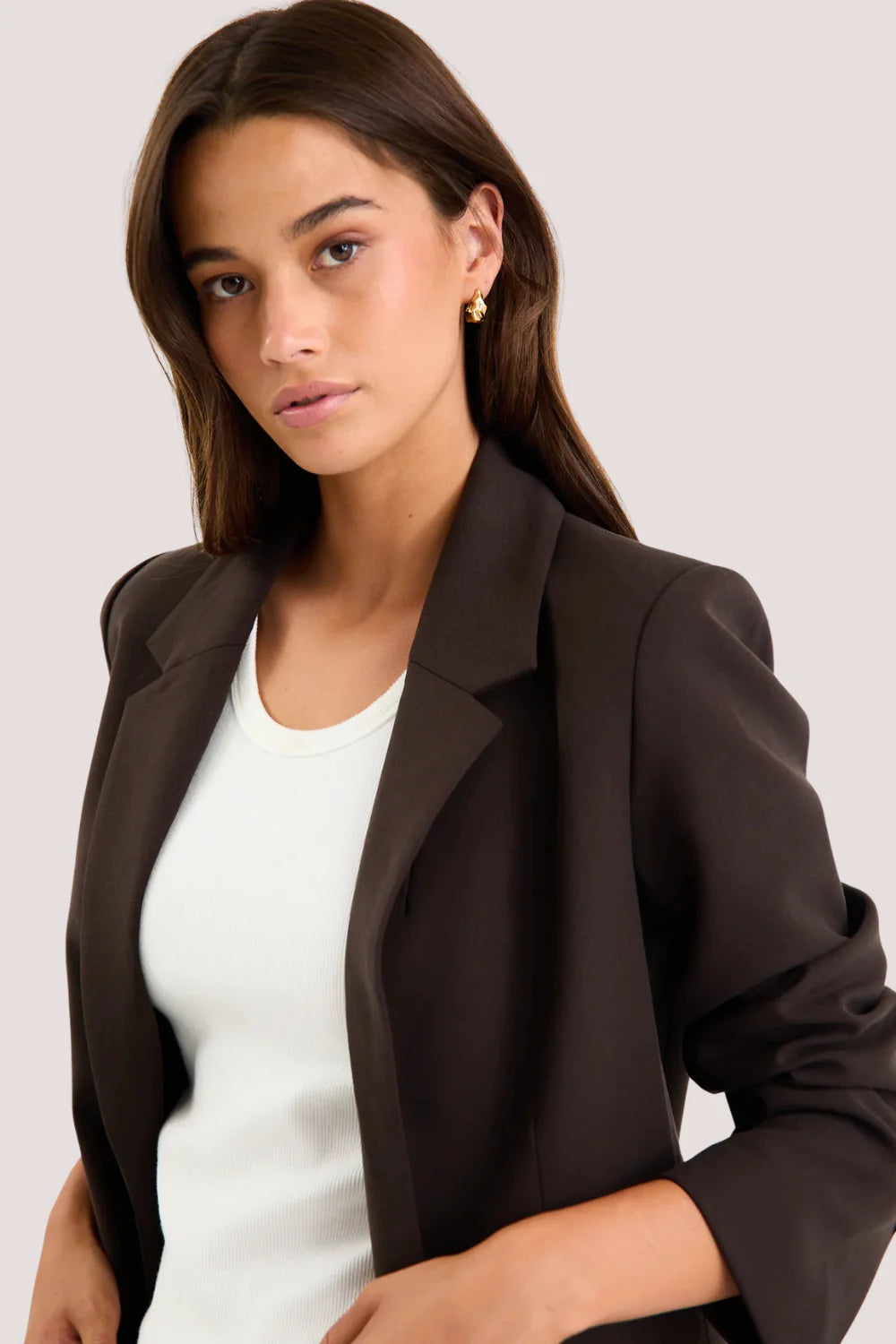 Diploma Dark Chocolate Two Button Vent Sleeve Blazer
